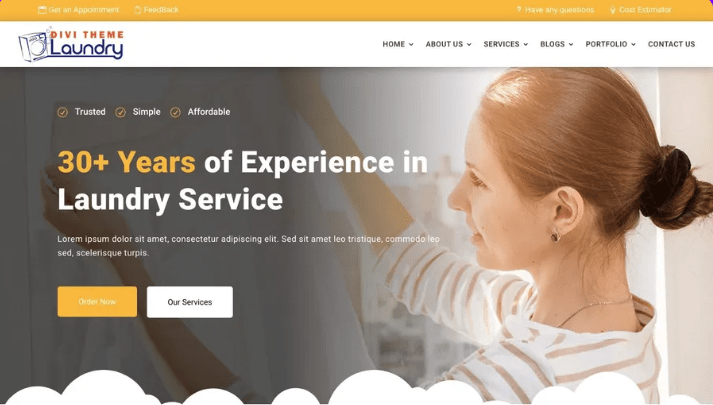 Divi Laundry Services Theme