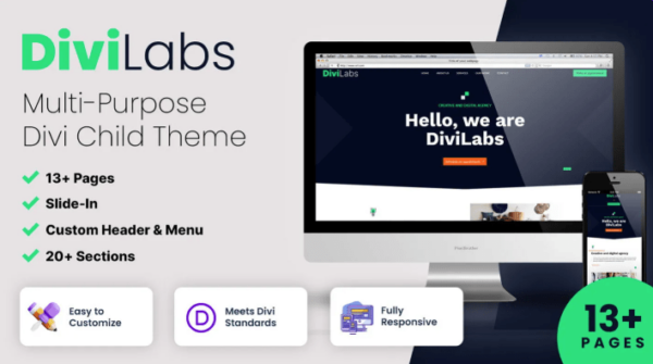 DiviLabs Theme