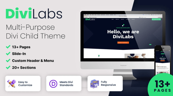 DiviLabs Theme